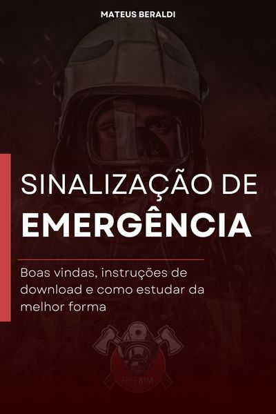 image_2024-08-29_163049236